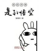 网恋故事 作者：黑马人工计划